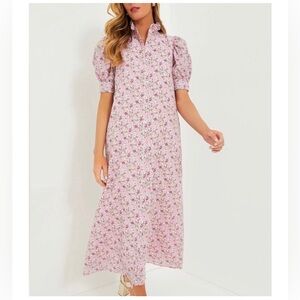 HYACINTH HOUSE Pink Multi Ruffle Collar Louisa Maxi Dress Size Large